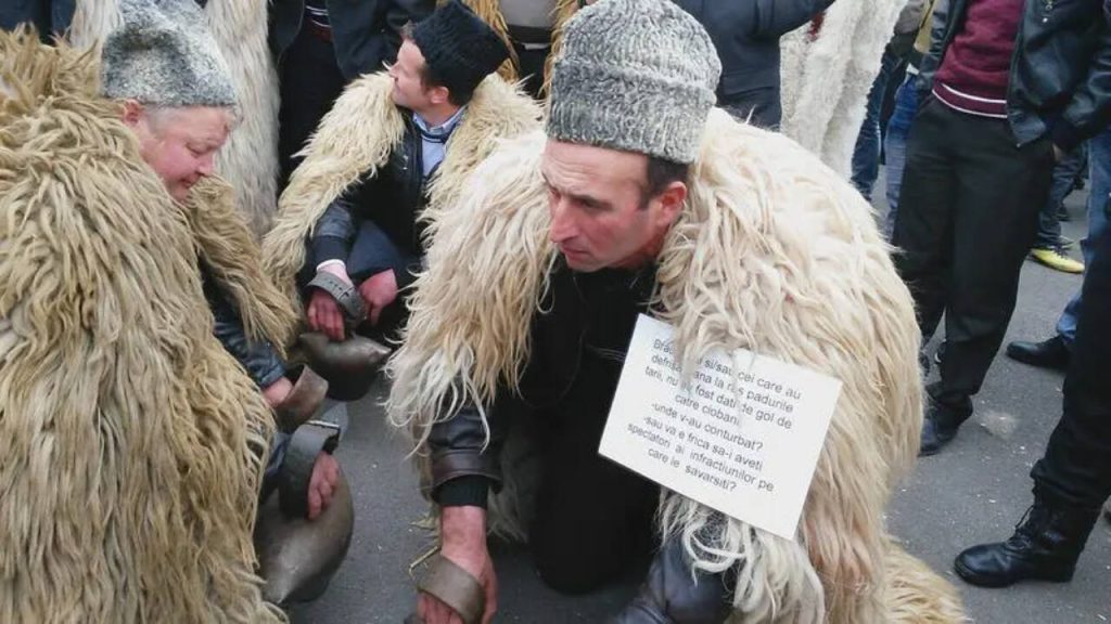 Oierii protestează în fața Guvernului: „Ne-a ajuns cuțitul la os”. Fermierii spun că sunt pregătiți să rămână în Capitală cât va fi nevoie
